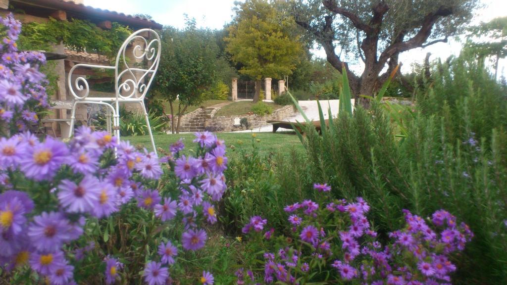 Bed and Breakfast Poggio Dei Prugnoli Tavoleto Exteriér fotografie