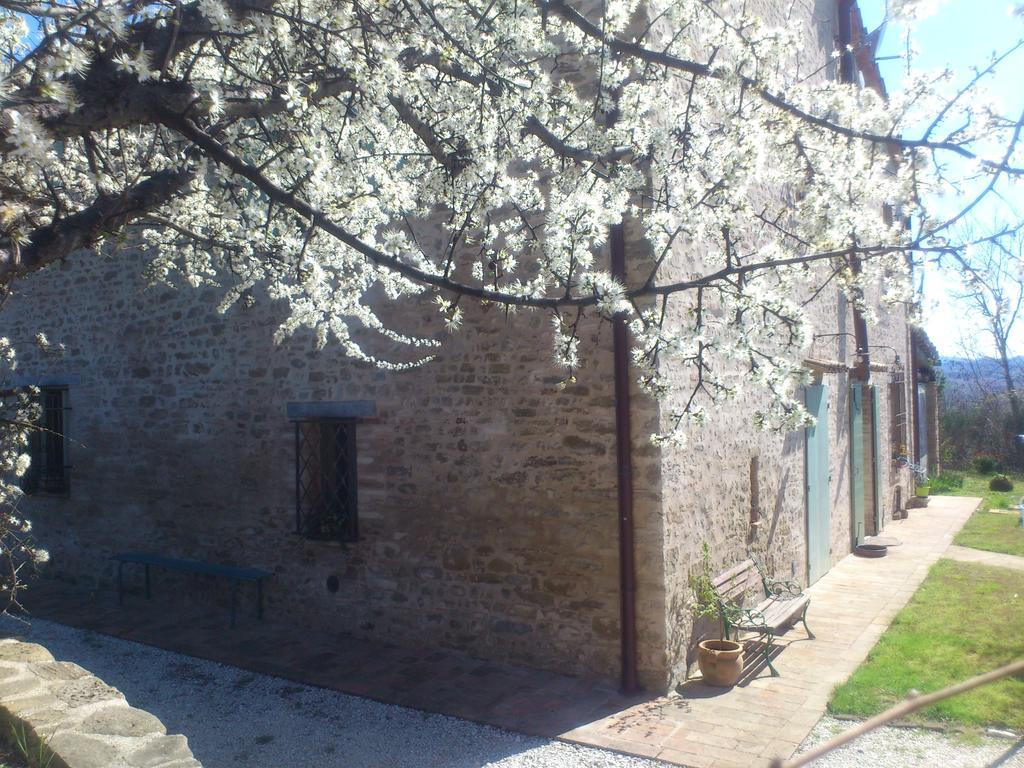 Bed and Breakfast Poggio Dei Prugnoli Tavoleto Exteriér fotografie