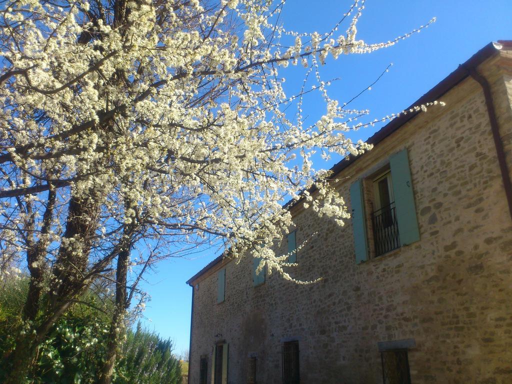 Bed and Breakfast Poggio Dei Prugnoli Tavoleto Exteriér fotografie