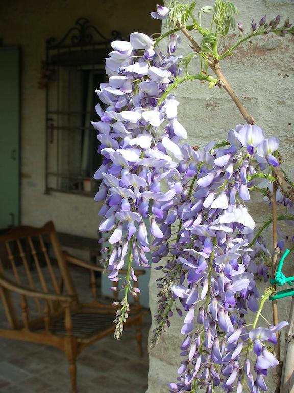 Bed and Breakfast Poggio Dei Prugnoli Tavoleto Exteriér fotografie