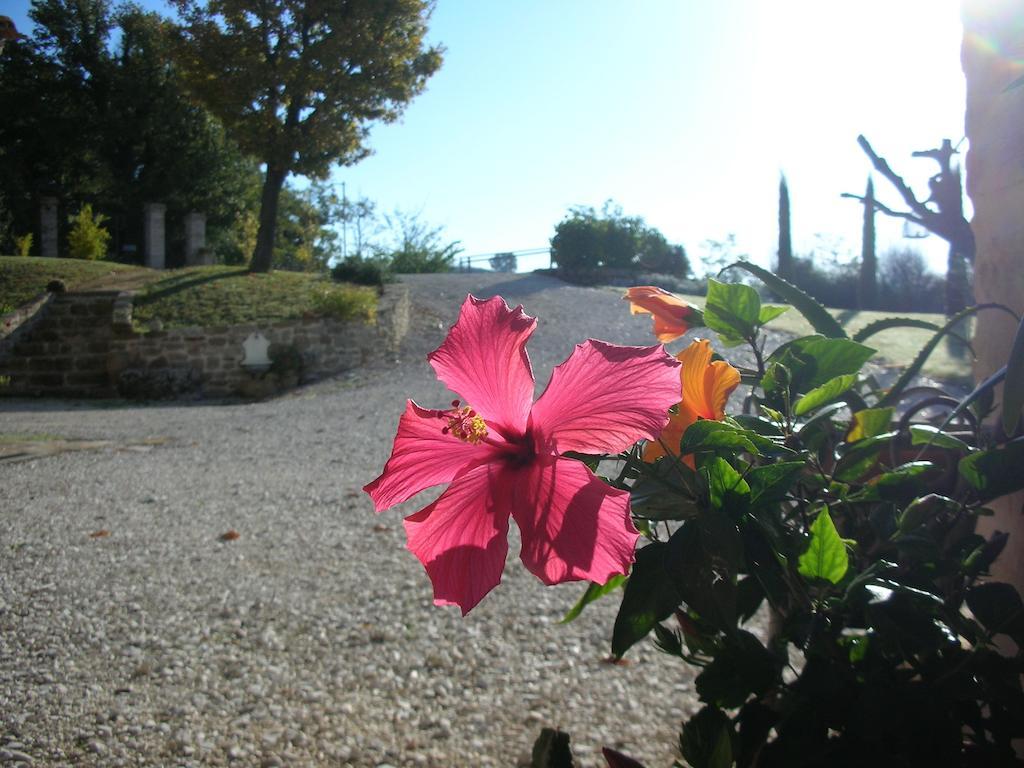 Bed and Breakfast Poggio Dei Prugnoli Tavoleto Exteriér fotografie